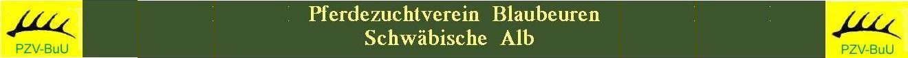 logo1320